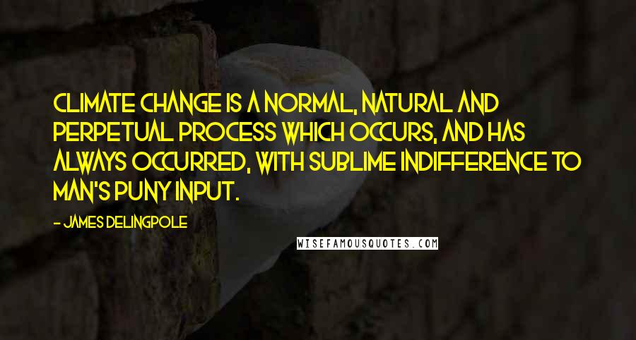James Delingpole Quotes: Climate change is a normal, natural and perpetual process which occurs, and has always occurred, with sublime indifference to man's puny input.