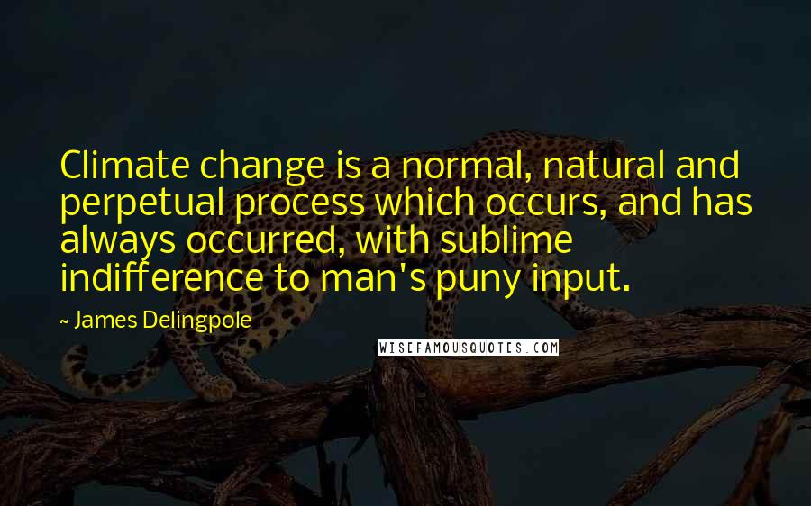 James Delingpole Quotes: Climate change is a normal, natural and perpetual process which occurs, and has always occurred, with sublime indifference to man's puny input.