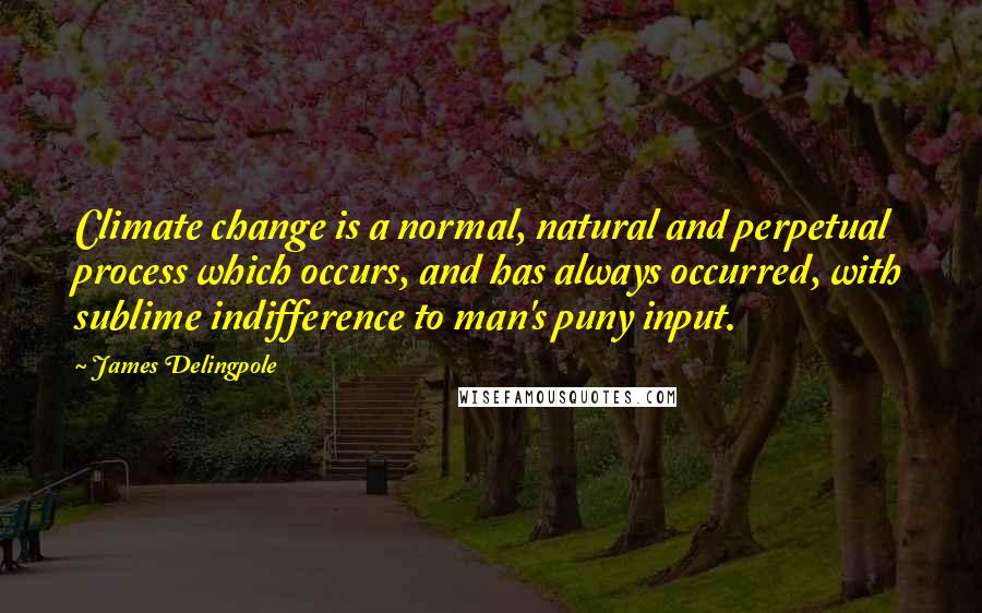 James Delingpole Quotes: Climate change is a normal, natural and perpetual process which occurs, and has always occurred, with sublime indifference to man's puny input.