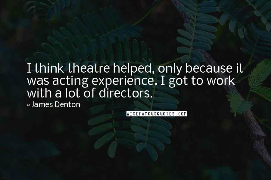 James Denton Quotes: I think theatre helped, only because it was acting experience. I got to work with a lot of directors.