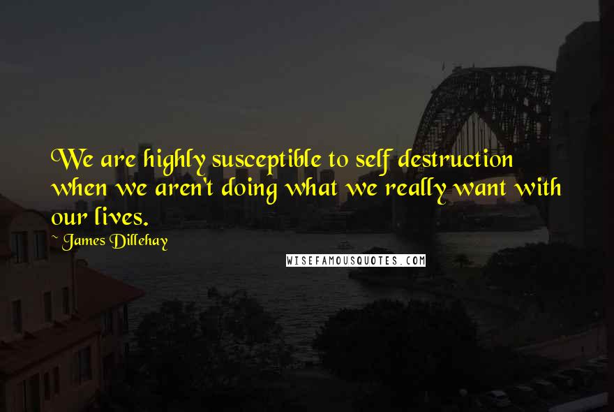 James Dillehay Quotes: We are highly susceptible to self destruction when we aren't doing what we really want with our lives.