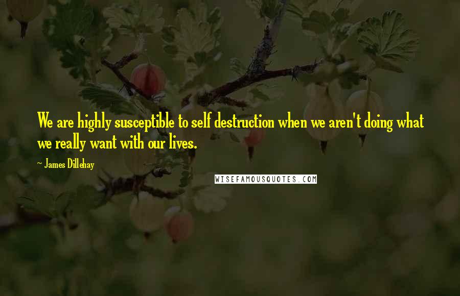 James Dillehay Quotes: We are highly susceptible to self destruction when we aren't doing what we really want with our lives.