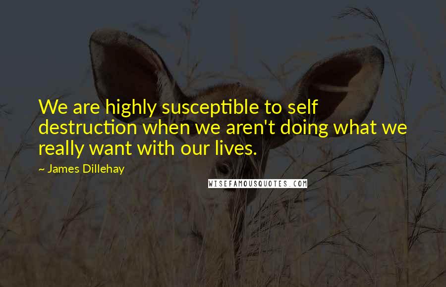 James Dillehay Quotes: We are highly susceptible to self destruction when we aren't doing what we really want with our lives.