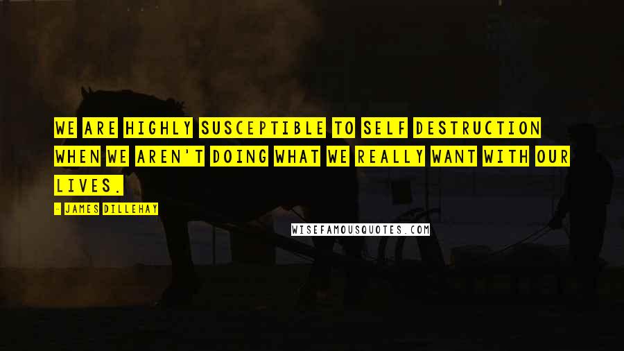 James Dillehay Quotes: We are highly susceptible to self destruction when we aren't doing what we really want with our lives.