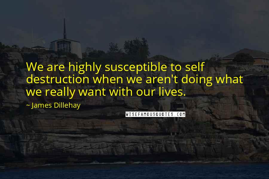 James Dillehay Quotes: We are highly susceptible to self destruction when we aren't doing what we really want with our lives.