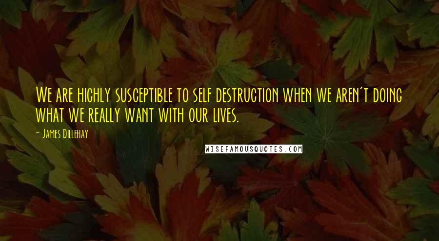 James Dillehay Quotes: We are highly susceptible to self destruction when we aren't doing what we really want with our lives.