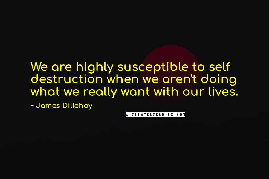 James Dillehay Quotes: We are highly susceptible to self destruction when we aren't doing what we really want with our lives.