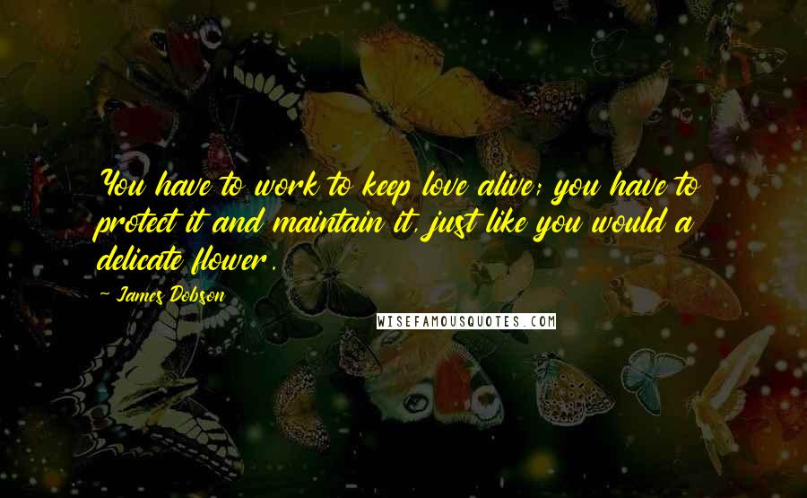 James Dobson Quotes: You have to work to keep love alive; you have to protect it and maintain it, just like you would a delicate flower.