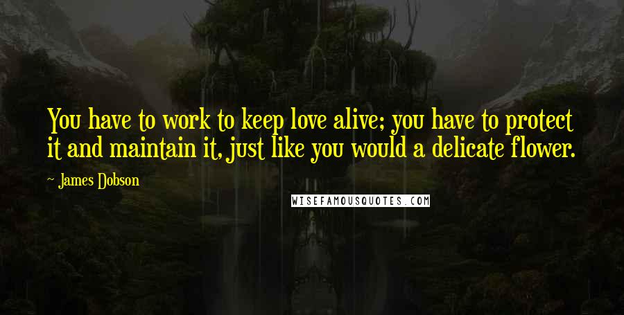 James Dobson Quotes: You have to work to keep love alive; you have to protect it and maintain it, just like you would a delicate flower.
