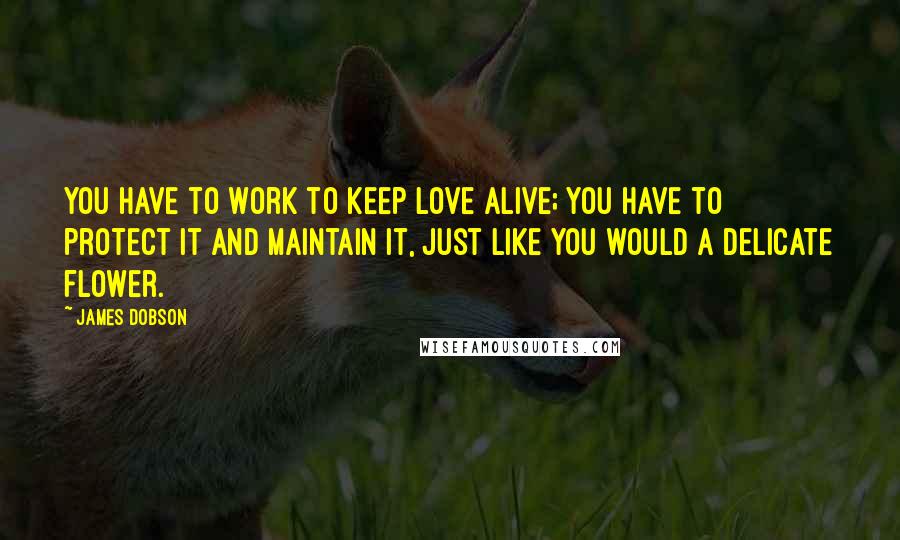 James Dobson Quotes: You have to work to keep love alive; you have to protect it and maintain it, just like you would a delicate flower.