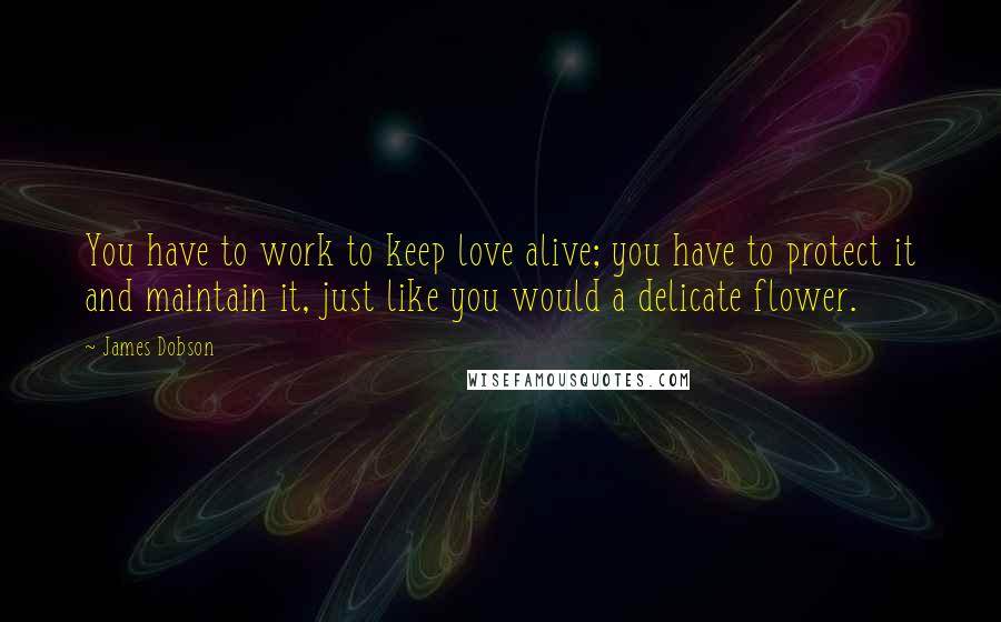 James Dobson Quotes: You have to work to keep love alive; you have to protect it and maintain it, just like you would a delicate flower.