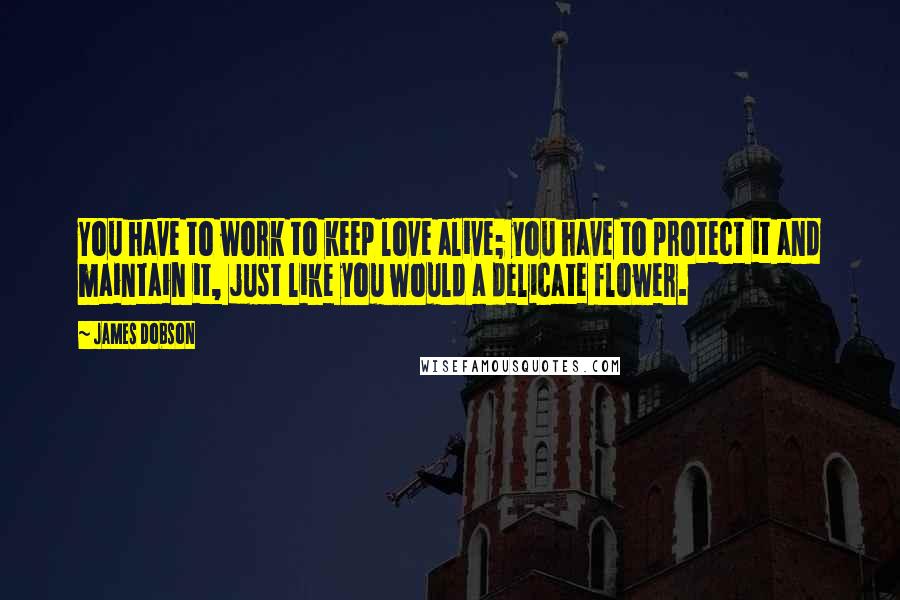 James Dobson Quotes: You have to work to keep love alive; you have to protect it and maintain it, just like you would a delicate flower.