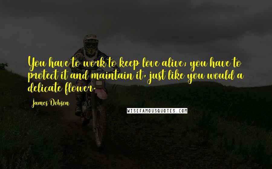 James Dobson Quotes: You have to work to keep love alive; you have to protect it and maintain it, just like you would a delicate flower.