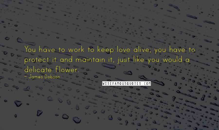 James Dobson Quotes: You have to work to keep love alive; you have to protect it and maintain it, just like you would a delicate flower.