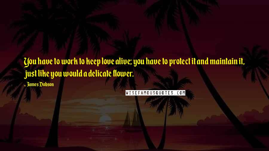 James Dobson Quotes: You have to work to keep love alive; you have to protect it and maintain it, just like you would a delicate flower.