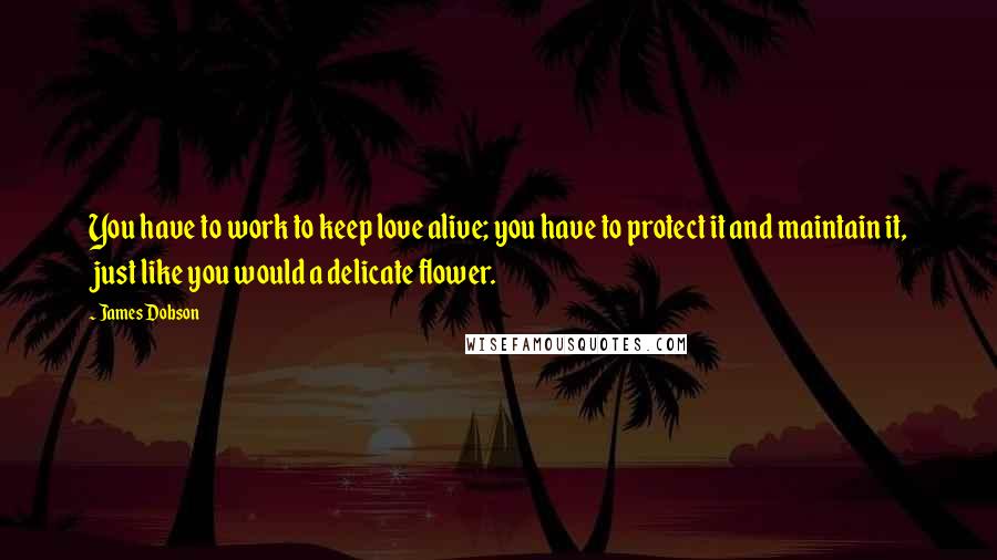 James Dobson Quotes: You have to work to keep love alive; you have to protect it and maintain it, just like you would a delicate flower.