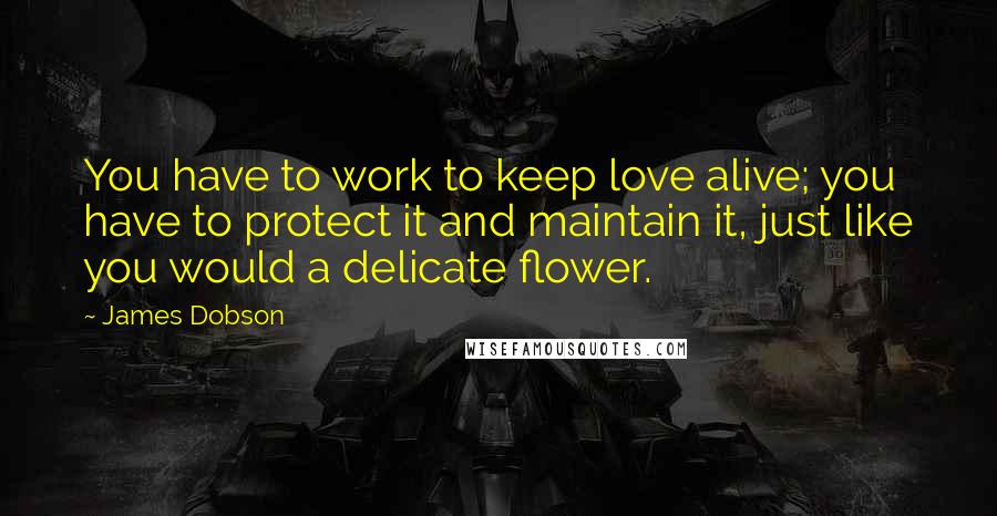 James Dobson Quotes: You have to work to keep love alive; you have to protect it and maintain it, just like you would a delicate flower.