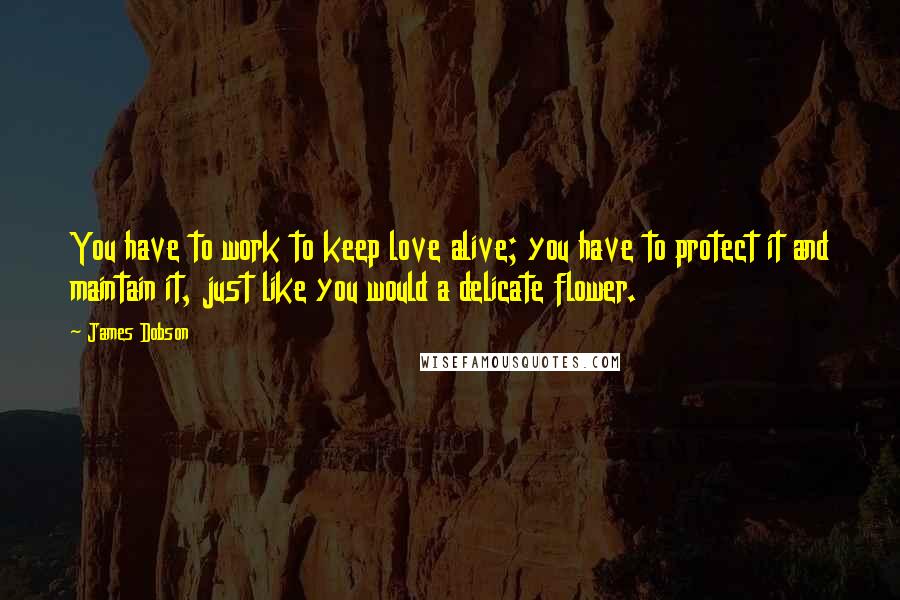 James Dobson Quotes: You have to work to keep love alive; you have to protect it and maintain it, just like you would a delicate flower.