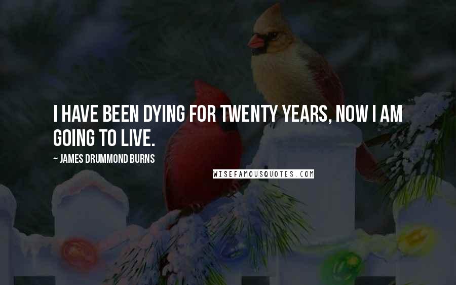 James Drummond Burns Quotes: I have been dying for twenty years, now I am going to live.