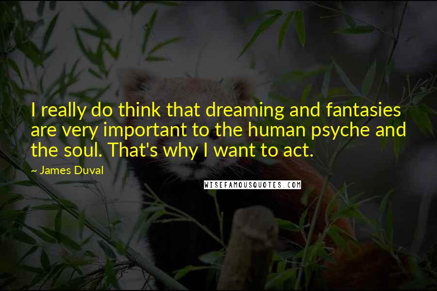 James Duval Quotes: I really do think that dreaming and fantasies are very important to the human psyche and the soul. That's why I want to act.