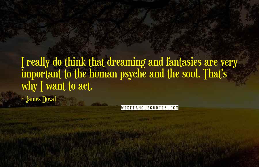 James Duval Quotes: I really do think that dreaming and fantasies are very important to the human psyche and the soul. That's why I want to act.