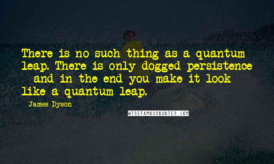 James Dyson Quotes: There is no such thing as a quantum leap. There is only dogged persistence - and in the end you make it look like a quantum leap.