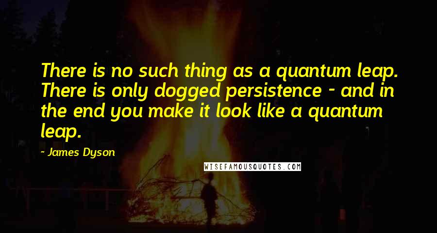 James Dyson Quotes: There is no such thing as a quantum leap. There is only dogged persistence - and in the end you make it look like a quantum leap.