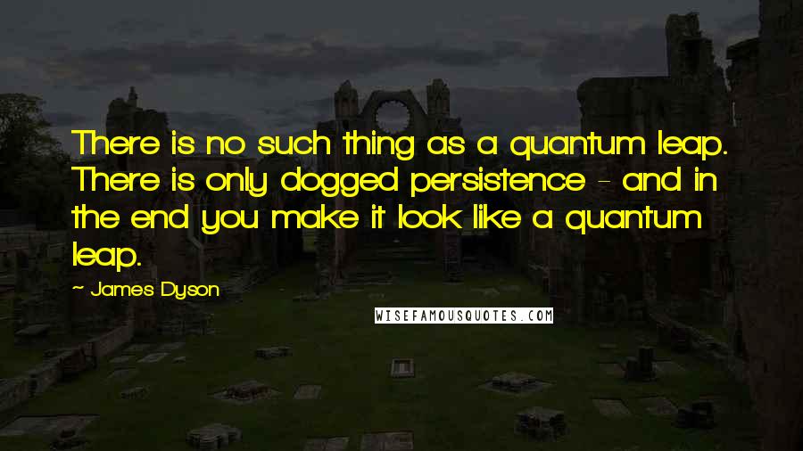 James Dyson Quotes: There is no such thing as a quantum leap. There is only dogged persistence - and in the end you make it look like a quantum leap.