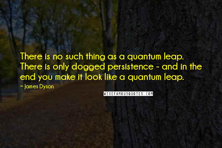 James Dyson Quotes: There is no such thing as a quantum leap. There is only dogged persistence - and in the end you make it look like a quantum leap.