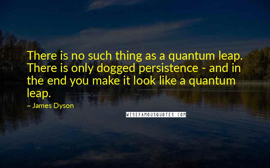 James Dyson Quotes: There is no such thing as a quantum leap. There is only dogged persistence - and in the end you make it look like a quantum leap.