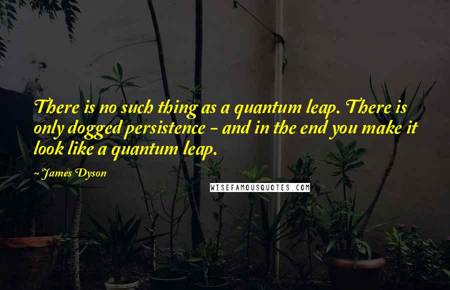 James Dyson Quotes: There is no such thing as a quantum leap. There is only dogged persistence - and in the end you make it look like a quantum leap.