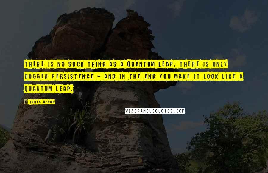 James Dyson Quotes: There is no such thing as a quantum leap. There is only dogged persistence - and in the end you make it look like a quantum leap.