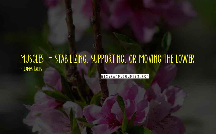 James Earls Quotes: muscles - stabilizing, supporting, or moving the lower