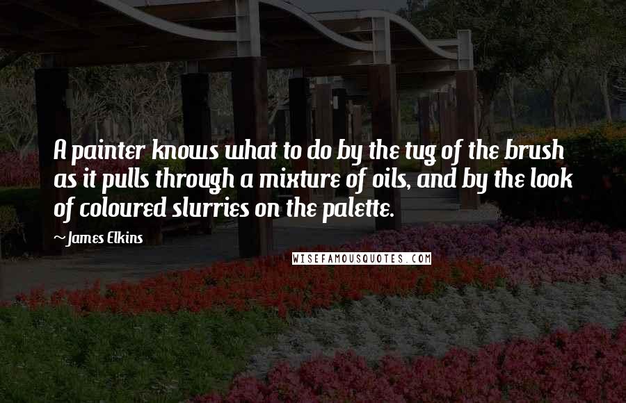 James Elkins Quotes: A painter knows what to do by the tug of the brush as it pulls through a mixture of oils, and by the look of coloured slurries on the palette.