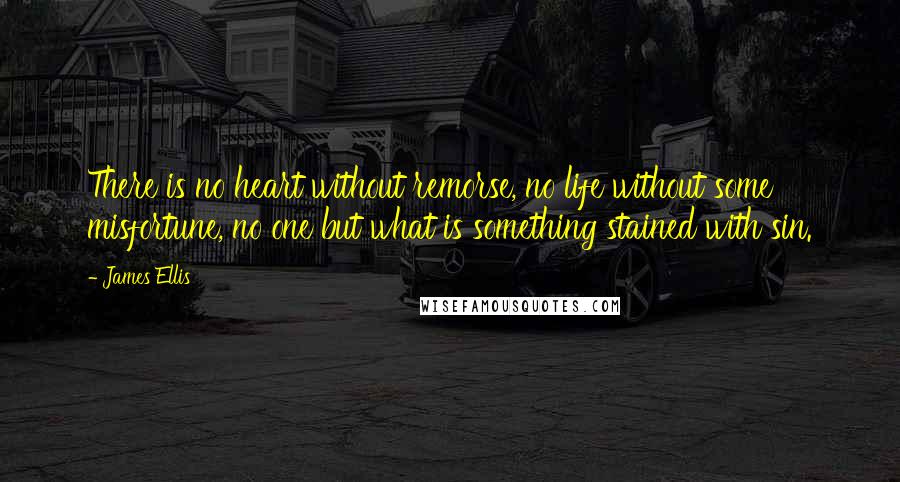 James Ellis Quotes: There is no heart without remorse, no life without some misfortune, no one but what is something stained with sin.