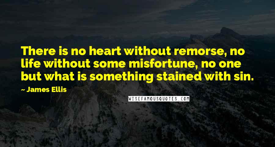 James Ellis Quotes: There is no heart without remorse, no life without some misfortune, no one but what is something stained with sin.