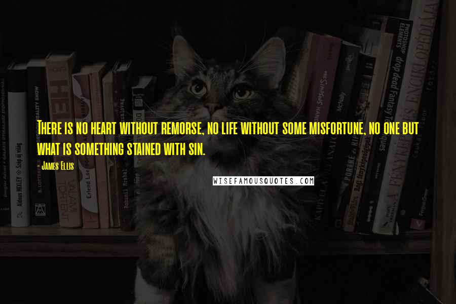 James Ellis Quotes: There is no heart without remorse, no life without some misfortune, no one but what is something stained with sin.