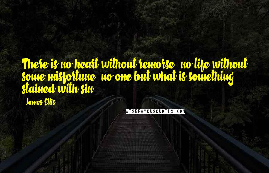 James Ellis Quotes: There is no heart without remorse, no life without some misfortune, no one but what is something stained with sin.