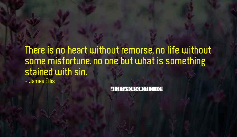 James Ellis Quotes: There is no heart without remorse, no life without some misfortune, no one but what is something stained with sin.