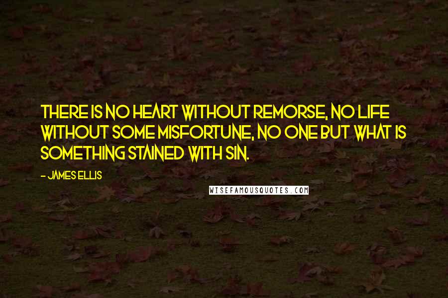 James Ellis Quotes: There is no heart without remorse, no life without some misfortune, no one but what is something stained with sin.