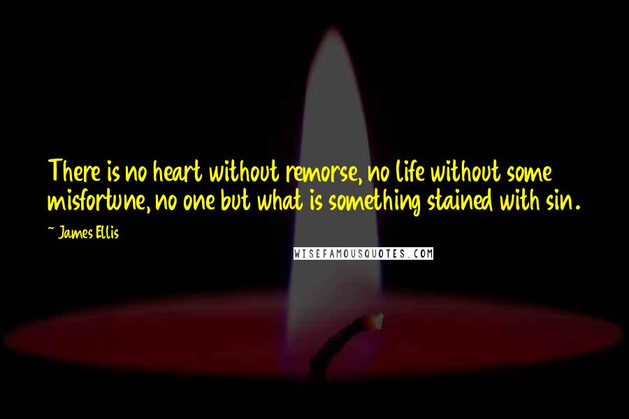 James Ellis Quotes: There is no heart without remorse, no life without some misfortune, no one but what is something stained with sin.