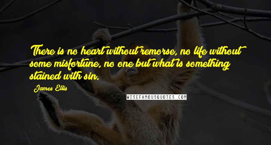 James Ellis Quotes: There is no heart without remorse, no life without some misfortune, no one but what is something stained with sin.