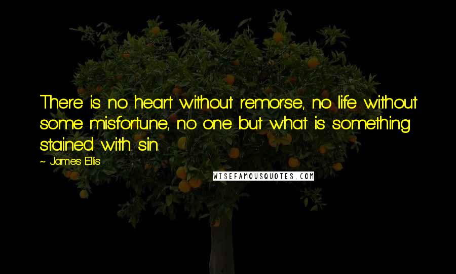 James Ellis Quotes: There is no heart without remorse, no life without some misfortune, no one but what is something stained with sin.