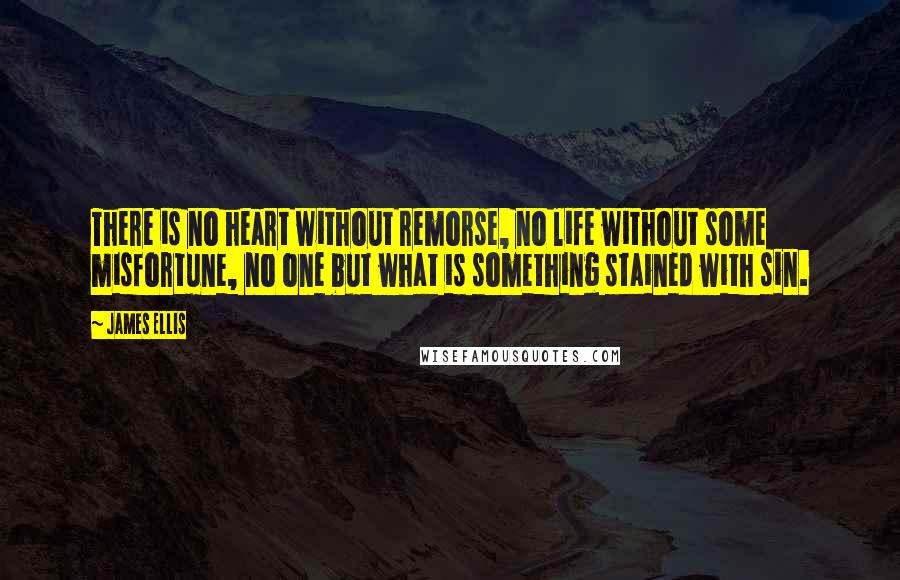 James Ellis Quotes: There is no heart without remorse, no life without some misfortune, no one but what is something stained with sin.