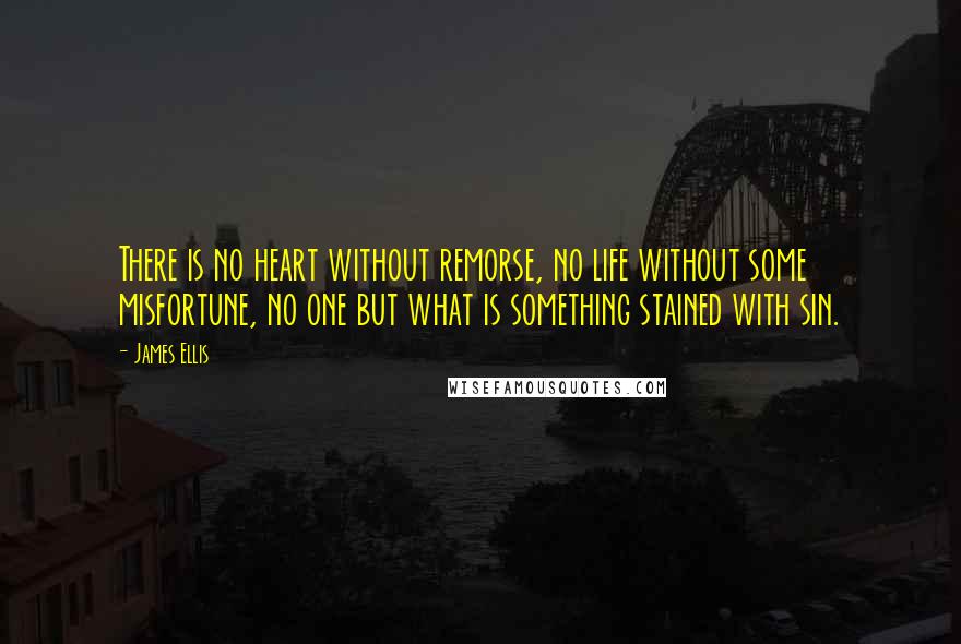 James Ellis Quotes: There is no heart without remorse, no life without some misfortune, no one but what is something stained with sin.