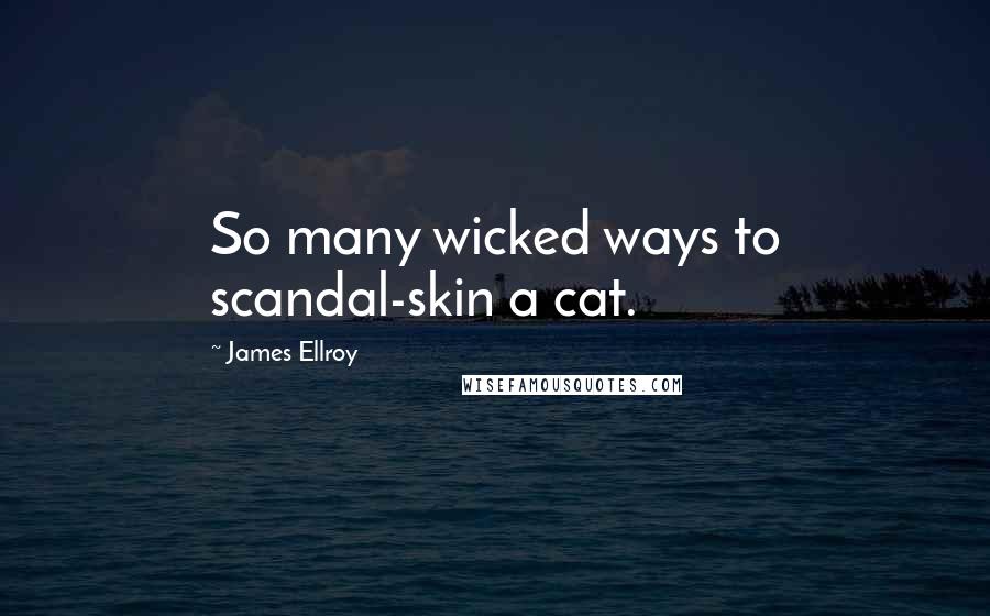 James Ellroy Quotes: So many wicked ways to scandal-skin a cat.