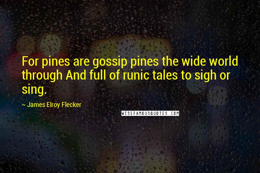 James Elroy Flecker Quotes: For pines are gossip pines the wide world through And full of runic tales to sigh or sing.