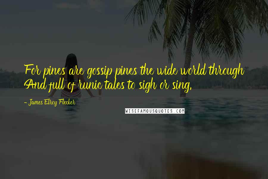 James Elroy Flecker Quotes: For pines are gossip pines the wide world through And full of runic tales to sigh or sing.