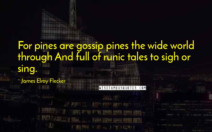 James Elroy Flecker Quotes: For pines are gossip pines the wide world through And full of runic tales to sigh or sing.