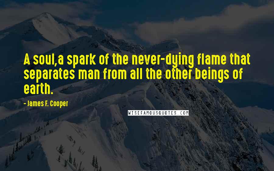 James F. Cooper Quotes: A soul,a spark of the never-dying flame that separates man from all the other beings of earth.